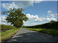 Road from Scotby to Wetheral