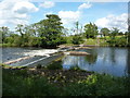 Weir on the River Eden