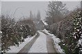 Mid Devon : Country Lane