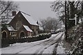 Mid Devon : Country Lane