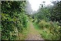 Bridleway around the Port of Felixstowe