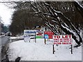 Forest of signs