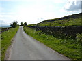 Road south of Peat Fell