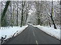 Kit Lane crosses Ipsden Heath