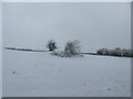 ST1372 : Wintry conditions near Wrinstone Farm by John Light
