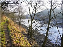 NZ1465 : Path on north bank of River Tyne by Andrew Curtis