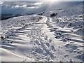 NH7505 : Moorland track in winter by wrobison
