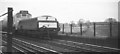 Train at Southburn Dene viaduct, 1968