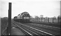 Train at Southburn Dene viaduct, 1968