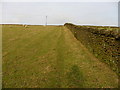 Field path above Holmbridge