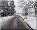 Snowy Oliphant Circle, Malpas, Newport