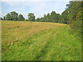 Public footpath near Thorney Hall