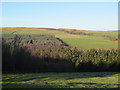 The valley of the River Derwent around Carrick