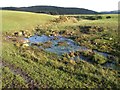 Stream in the pasture