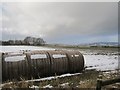 Straw bales, Muirhead