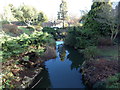 View of the stream in Dulwich Park from the footbridge