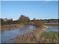 TL6802 : River Wid and waterlogged fields by Roger Jones