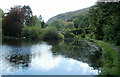 West side of the lake at Craig-y-nos Country Park