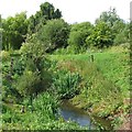 The Leen near Bestwood