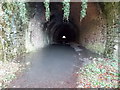 Through the former Usk railway tunnel