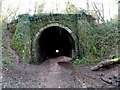 SO3701 : Eastern portal of the former Usk railway tunnel by Jaggery