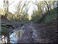 Path east from the former Usk railway tunnel