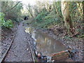 Stream alongside the footpath at the eastern end of Usk railway tunnel