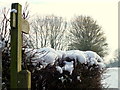 Snowy signpost