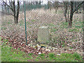 Trig point of Coal Aston