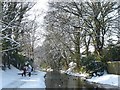 Walkers alongside the canal