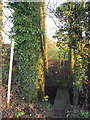 Footpath and footbridge alongside Ickford Road