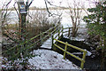 Footbridge over the Cow Brook