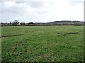 Farmland east of Upper House