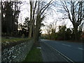 Looking westwards along Alresford Road