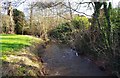 Hoo Brook, looking east, Kidderminster