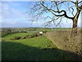 Foremass Lower Townland