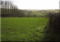 Field near Blackawton