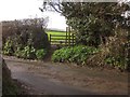 Footpath near Blackawton