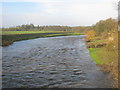 NZ3110 : The River Tees west of Low Hail Bridge at Neasham by peter robinson