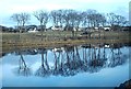 River Reflections