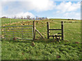 Fence with stile