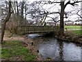 Footbridge In Somersall Park