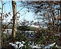 Hemp Lane - view through the hedge