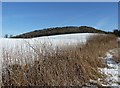 Boddington Hill