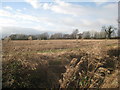 Looking towards Alvingham Road