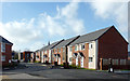 New housing in Blakenhall Gardens, Wolverhampton