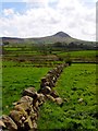 D1809 : Drystone wall and Slemish by Robert Ashby