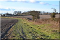 Track along field edge at Botley