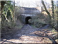 tunnel under Peak Forest canal, near Strines