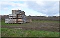 Fruit boxes and Orchard